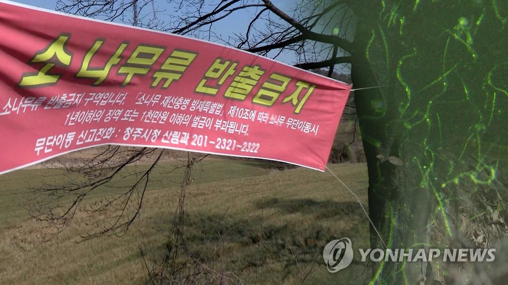 소나무류 반출 금지(CG)