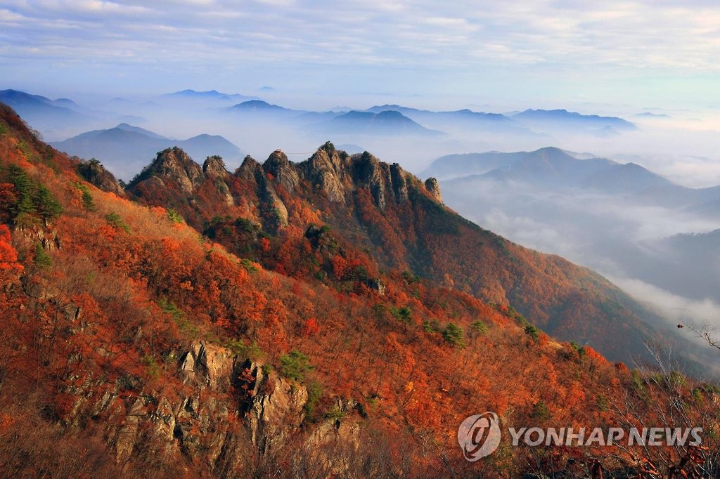 국내 여행