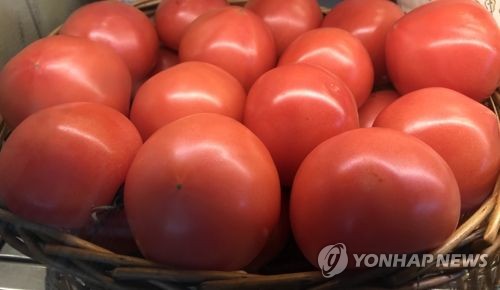 멕시코 "美 토마토 관세로 미국내 소비자 가격 최고 70% 상승"