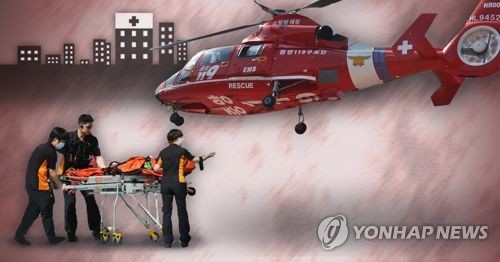 응급환자 이송 헬기(PG)