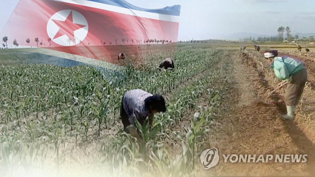 WFP says food aid to N. Korea plunges amid sanctions - 1