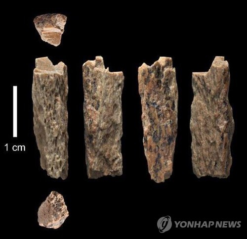 현생인류와 네안데르탈의 수만년전 로맨스 밝혀낸 게놈분석