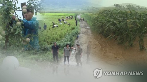 지난해 태풍 피해를 입은 북한의 경작지