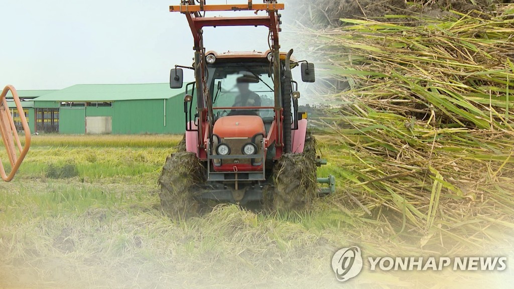 S. Korea's food self-sufficiency under 50 pct in 2019