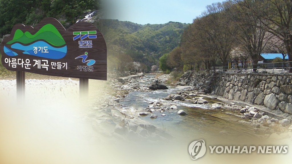 정부 하천·계곡 불법시설 645건 적발…여름철 맞아 대대적 단속