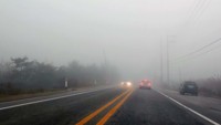 내일 출근길 중부지방 곳곳 짙은 안개…낮 22~30도