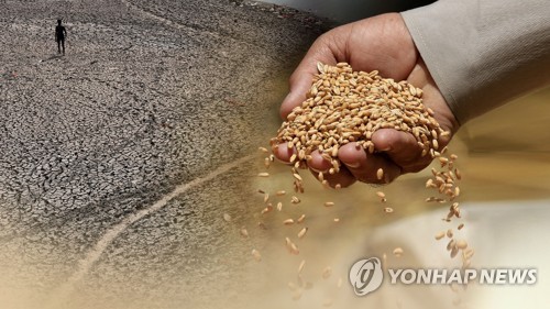 곡물