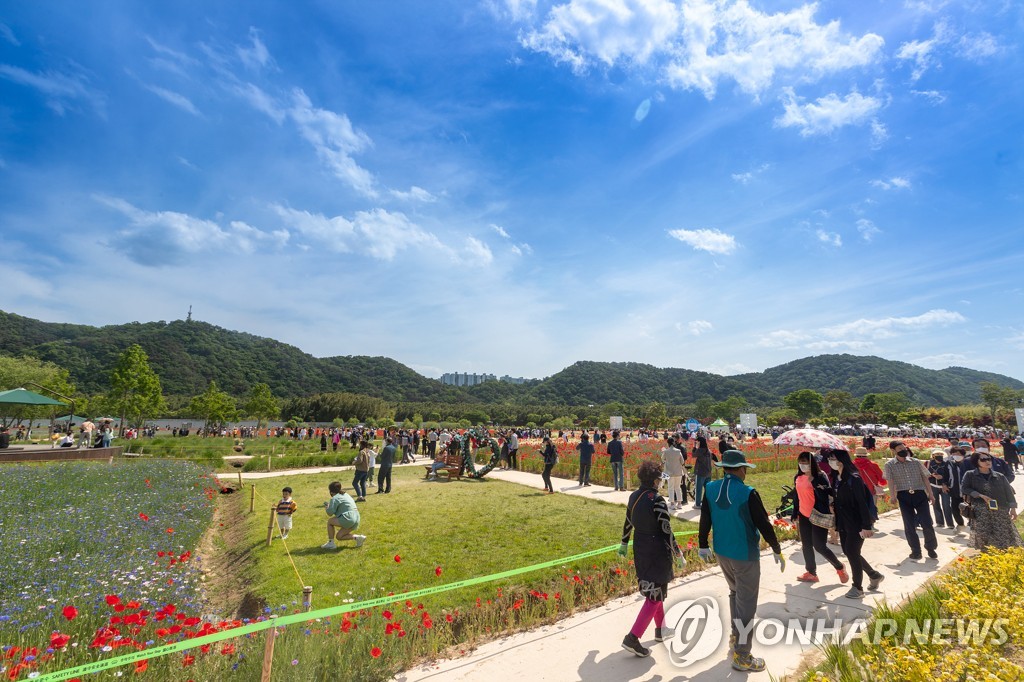 꽃구경부터 먹거리 장터까지…산불 피해지역서 축제 30여개 열려