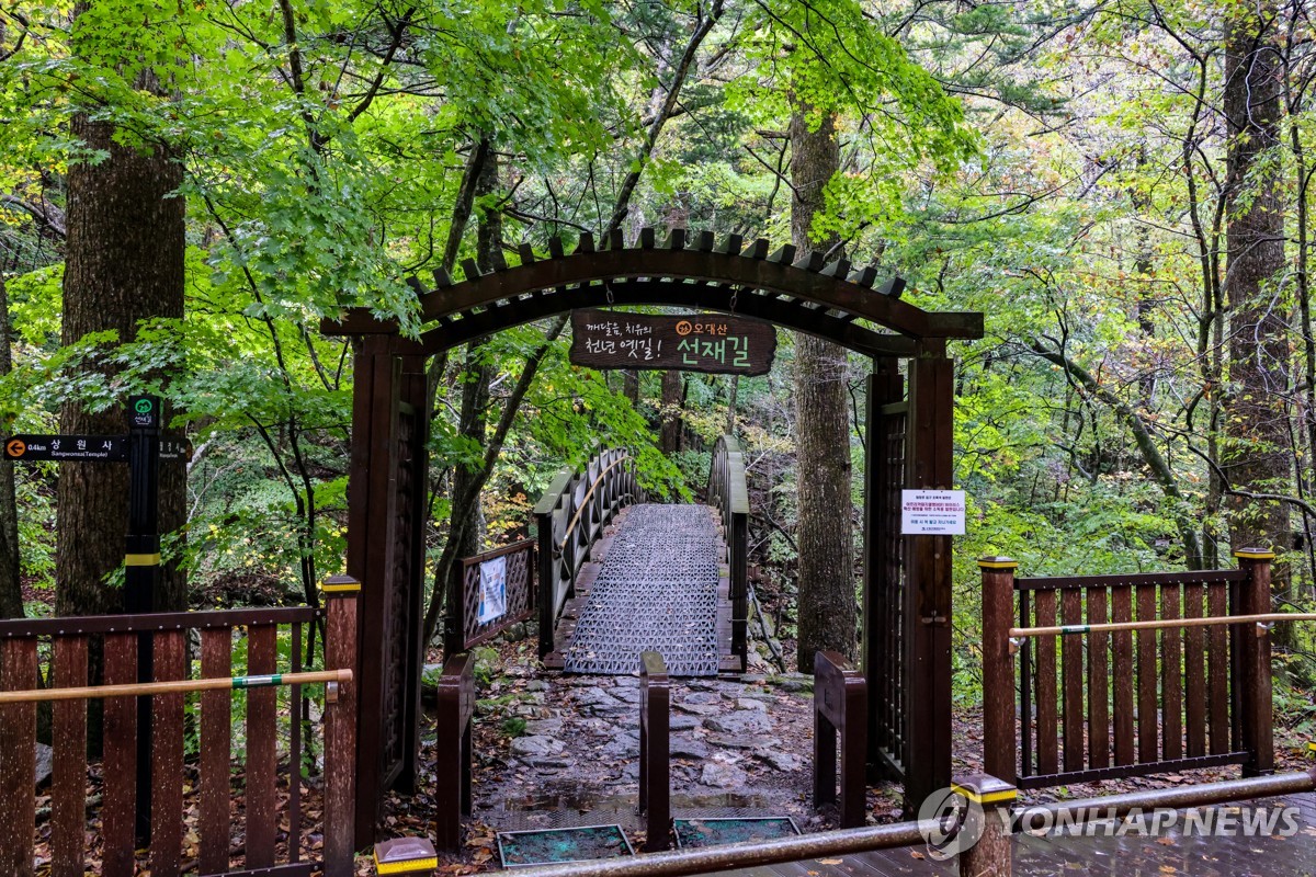 오대산 월정사 선재길