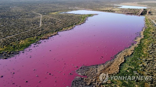 아르헨티나의 분홍색 호수