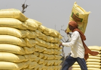 나이지리아, '러 제재' 여파로 캐나다서 칼륨비료 긴급 공수