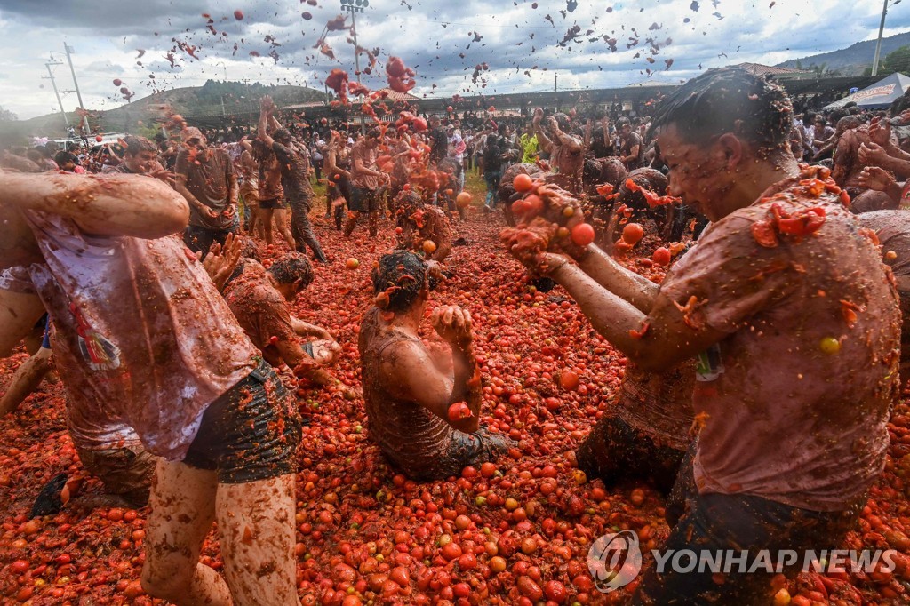 COLOMBIA-FESTIVAL-TOMATINA