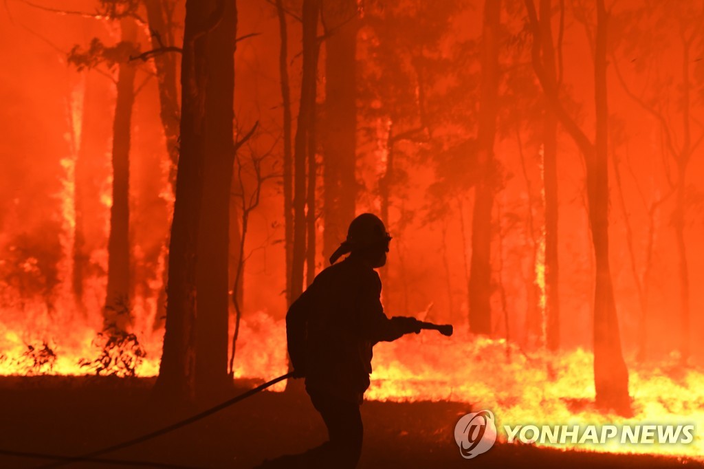 호주 NSW주 대형 산불 진화 현장