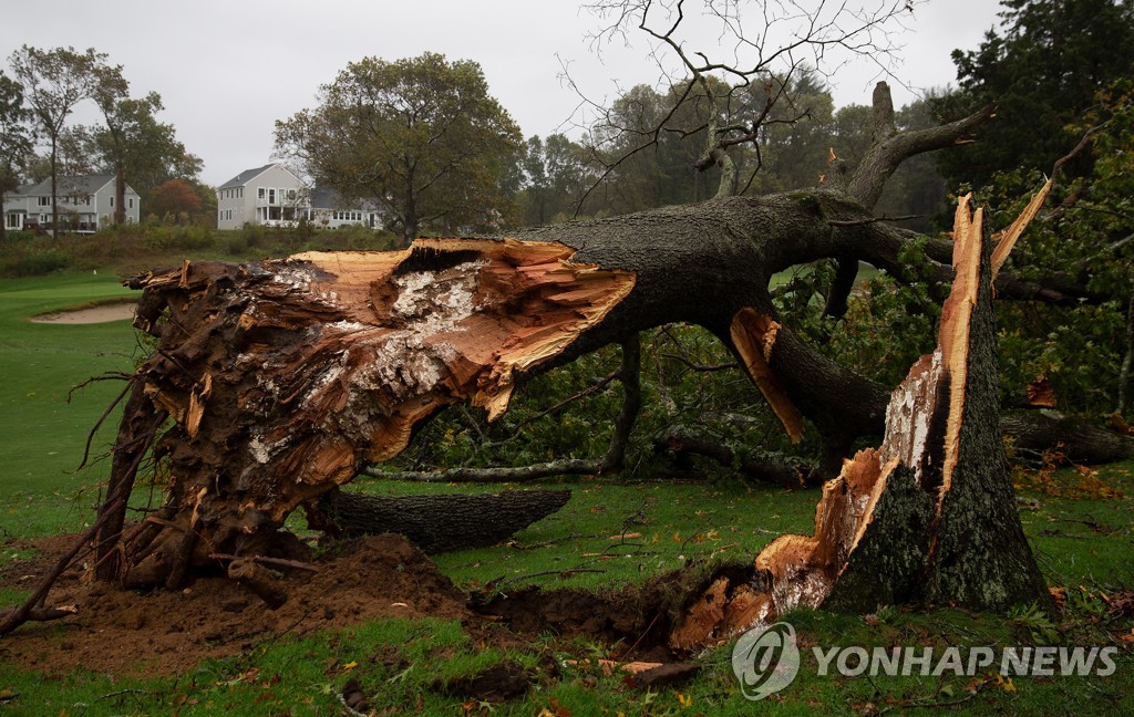 지난달 27일 미국 매사추세츠주를 휩쓴 폭풍으로 부러진 나무.
