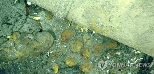 콜롬비아, 300년전 보물선 침몰 장소서 선박 2척 잔해 또 발견