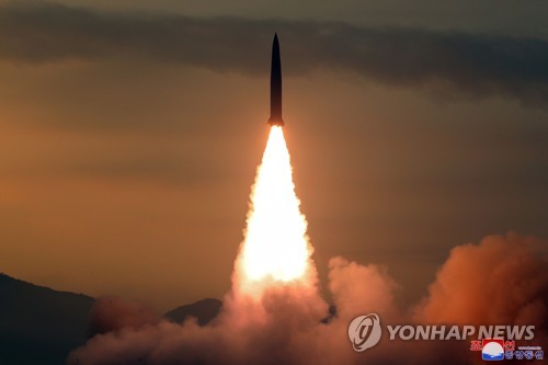 러, 북핵 위협에 "핵보유국 지위는 5개국뿐…평화체제 필요"