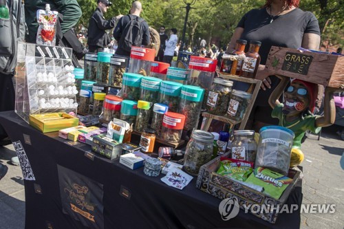 美직장인 대마초 양성비율 4.3%…합법화 늘더니 25년만에 최고치