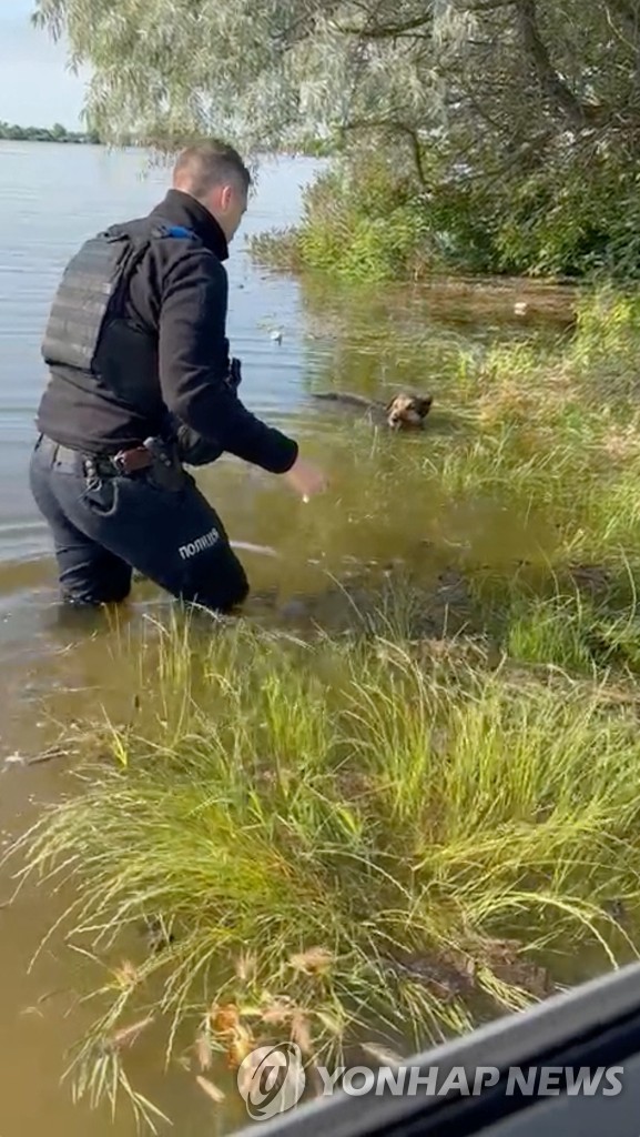 물에 빠진 개 구조하는 우크라이나 경찰