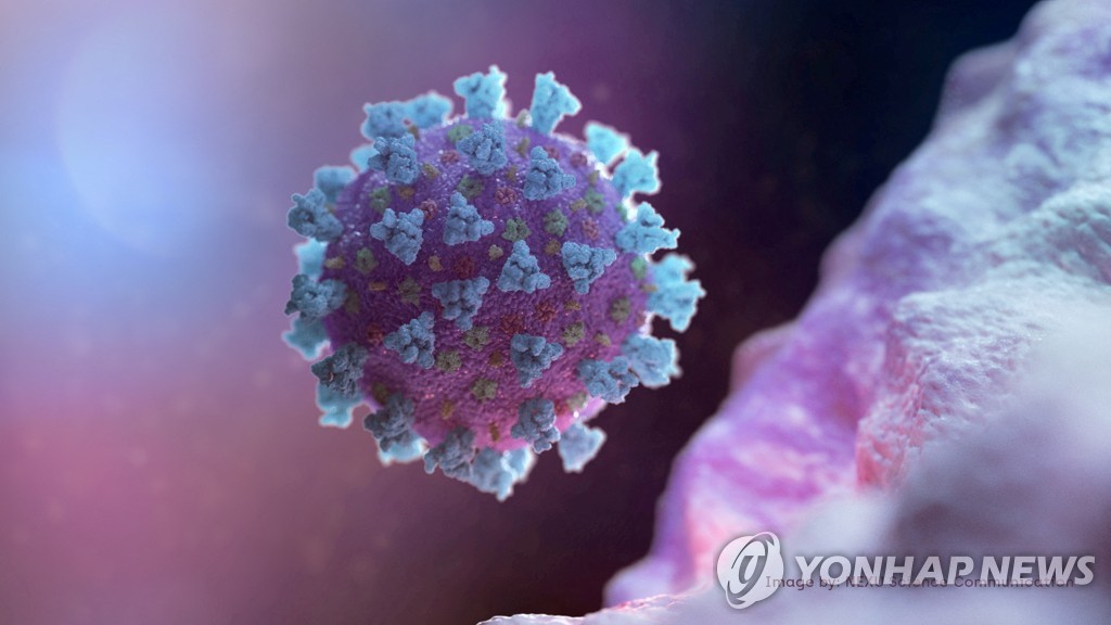 코로나19 바이러스의 컴퓨터 이미지