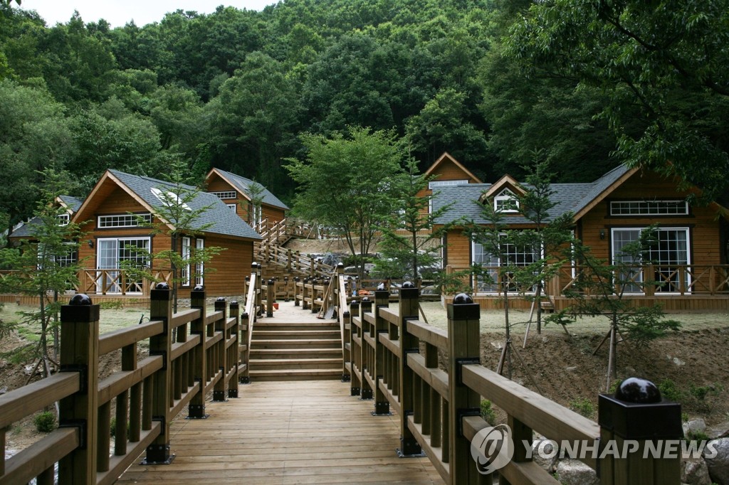용인자연휴양림 인가 상한가…주말투숙은 로또 | 연합뉴스