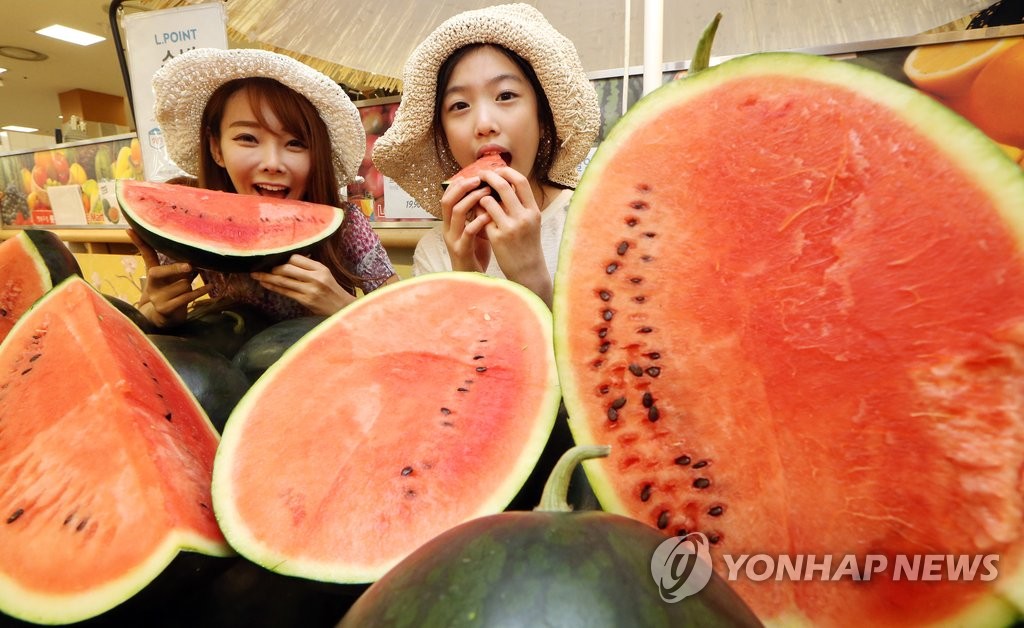 무주군, 설천·안성에 고랭지 흑미수박 특화단지 46ha…