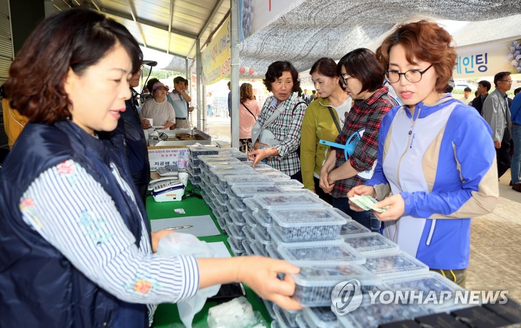 부안 블루베리 맛보세요 | 연합뉴스