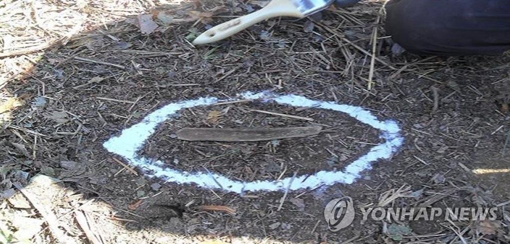 矢じり高地で見つかった、韓国軍戦死者と推定される遺骨（国防部提供）＝（聯合ニュース）