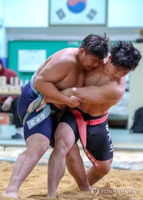 씨름계, 인류무형유산 등재로 남북 교류-대중화 '탄력' 기대