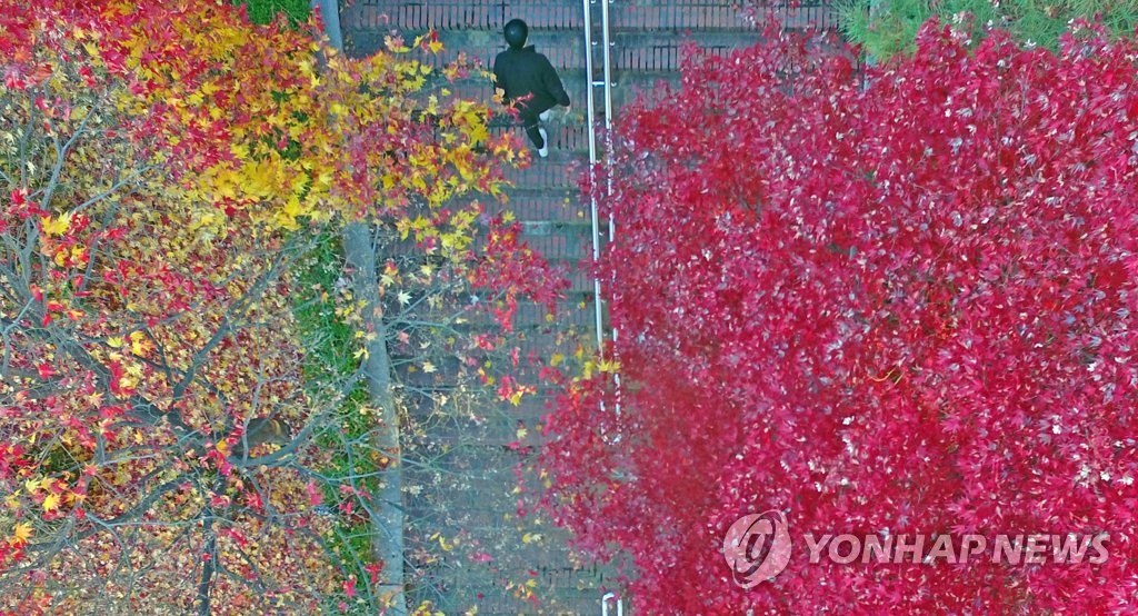 깊어가는 가을