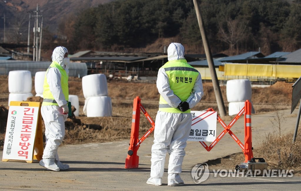 출입 통제되는 구제역 의심 신고 한우농장