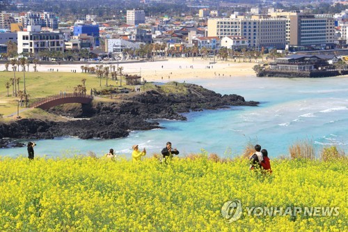 Spring on Jeju