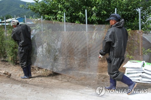 S. Korea completes African swine fever quarantine in border area