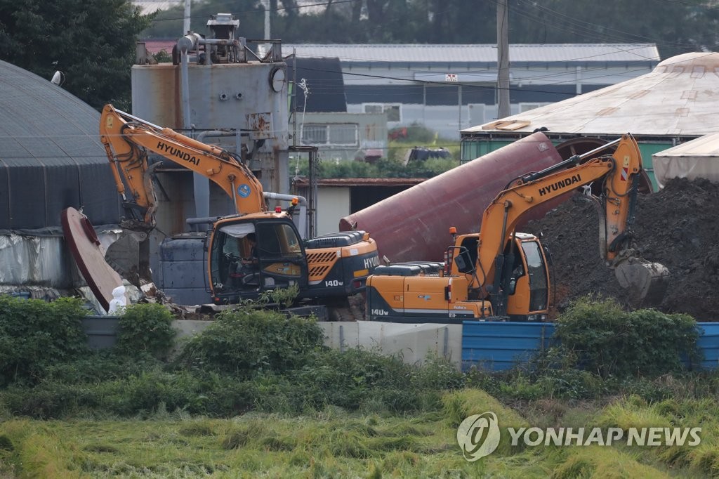 국내 첫 아프리카돼지열병 파주에서 발생