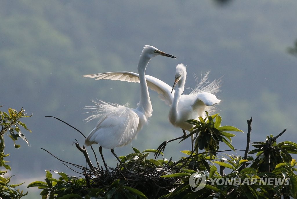 어화둥둥 내 사랑이야