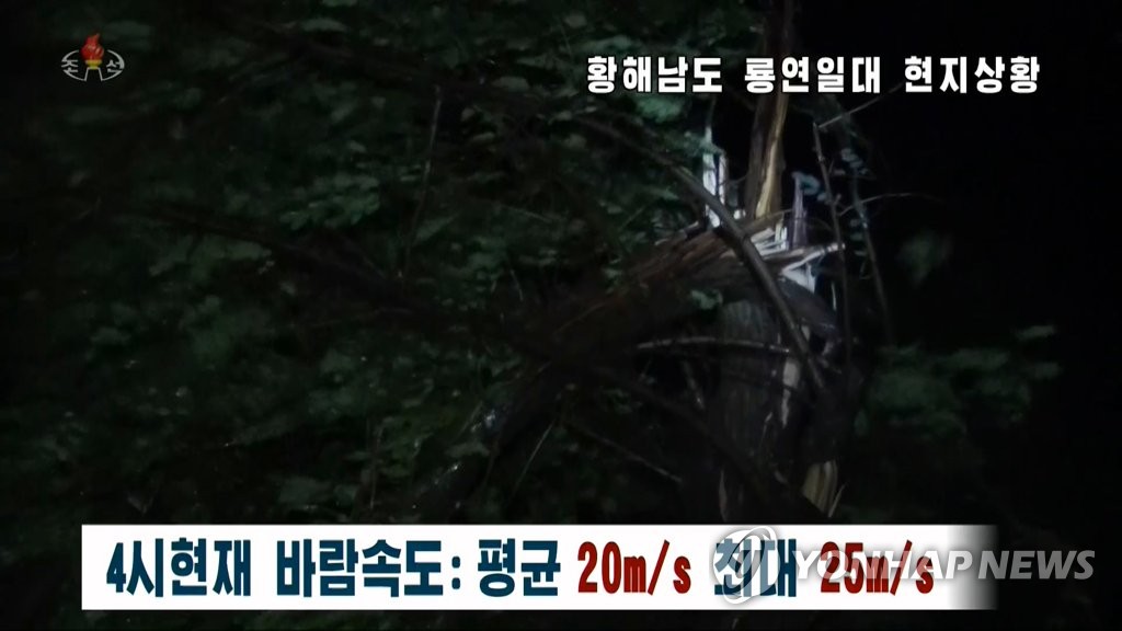 (LEAD) N. Korea's media report on broken trees, inundated streets as Typhoon Bavi makes landfall