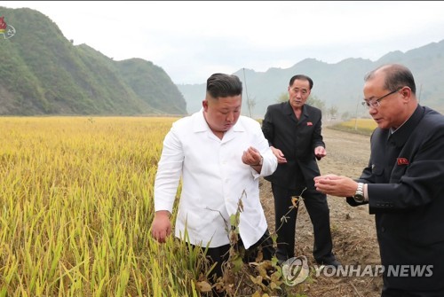 벼 낟알 살펴보는 김정은