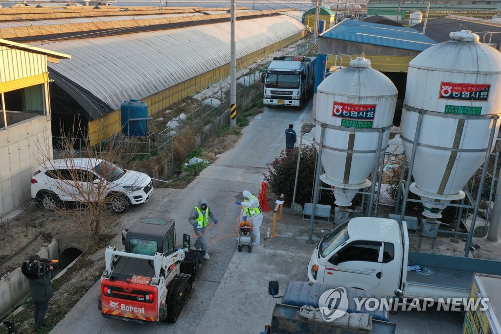 (LEAD) S. Korea speeds up culling of poultry to prevent highly pathogenic bird flu