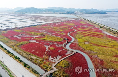 세계유산 '한국의 갯벌' 2025년까지 9곳 추가 등재 추진