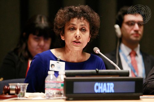 유엔 특별보고관 "표현의 자유에서 성평등, 여전히 갈 길 멀다"