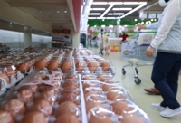 달걀-우윳값 등, 소비자물가지수 전년 동기 대비 상승