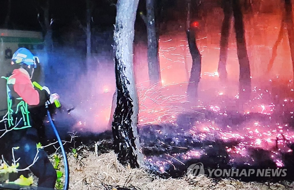 양양플랫폼 이미지