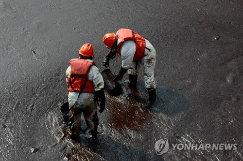 ′기름 뒤집어 쓴 새′…페루, '화산폭발 여파' 환경비상상태 선포