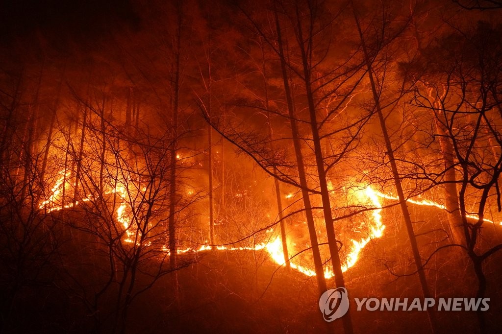 韓国東部の大規模山火事　過去最大の被害に迫る勢い