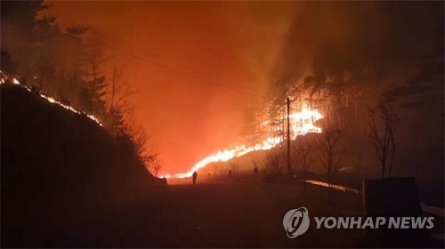 [동해안 산불] 동해 재발화 12시간 만에 진화…삼척 진화율 80% 답보