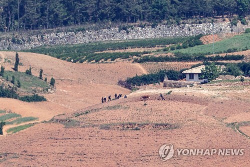밭일하는 북한 황해북도 주민들