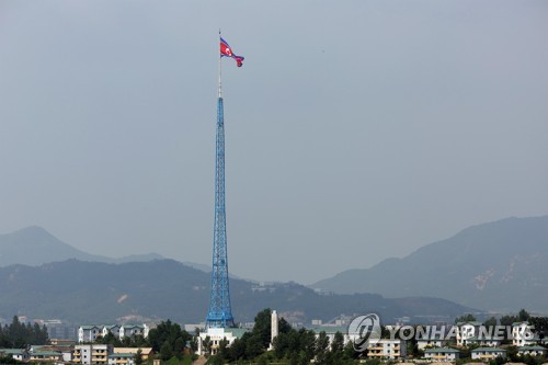 Corea del Norte insta al fortalecimiento de la cooperación entre países en vías de desarrollo