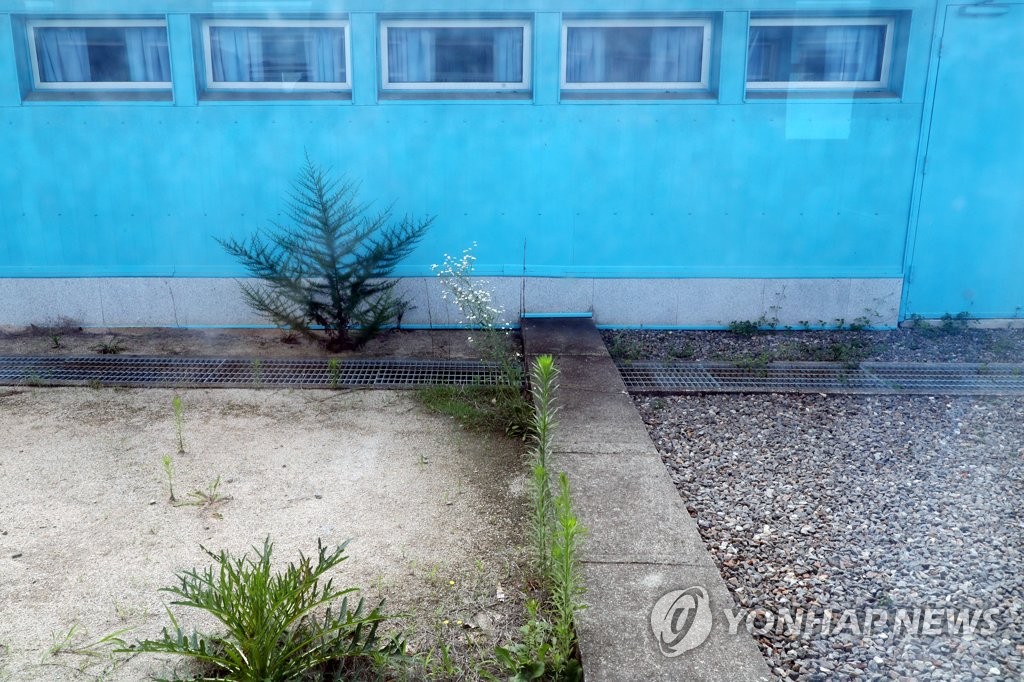 Grass appears to be overgrown on the North Korean side at the Joint Security Area of the inter-Korean truce village of Panmunjom on July 19, 2022, as its tour reopened after years of suspension due to the pandemic, in this photo provided by the Defense Daily. (PHOTO NOT FOR SALE) (Yonhap)