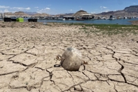 바싹 타들어 가는 지구촌…세계 곳곳 동시다발 가뭄