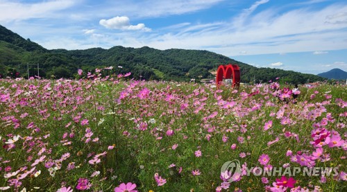전북 구름 많고 한때 빗방울…낮 기온 22∼25도