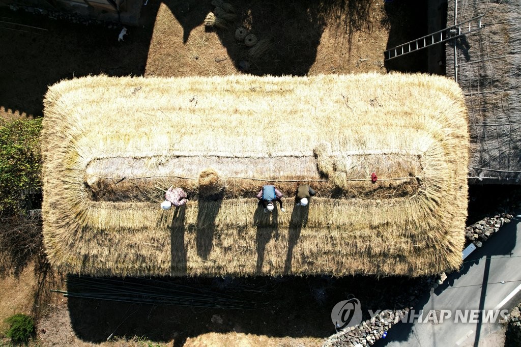 '한파 막아라' 경남 의령군 초가이엉 잇기